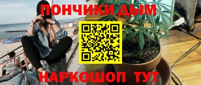 сатива Гатчина