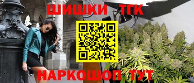 сатива Гатчина