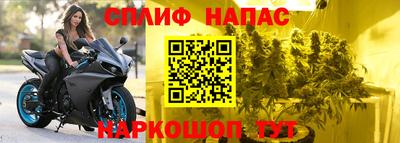 сатива Гатчина
