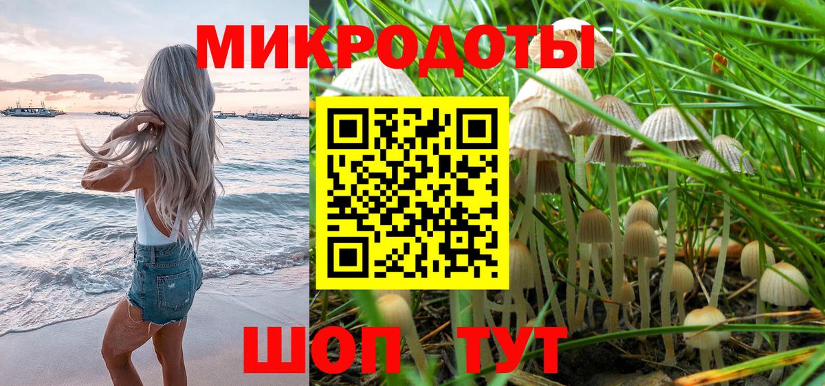 Псилоцибиновые грибы Magic Shrooms  Вход с VPN  Михайловка  Галлюциногенные грибы Psilocybine cubensis 