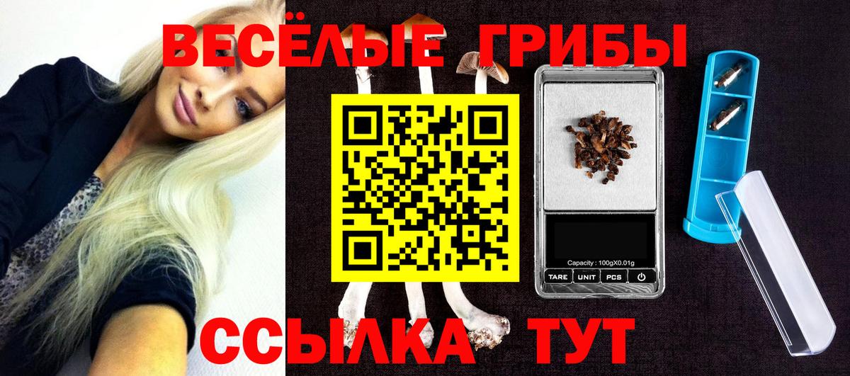 Галлюциногенные грибы мухоморы Михайловка